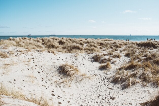 Weitwinkelaufnahme des Ufers umgeben von trockenem Gras unter einem blauen Himmel