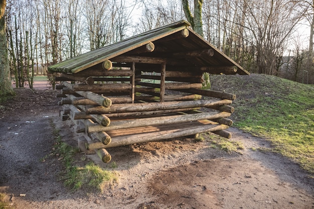 Weitwinkelaufnahme einer Holzkonstruktion mitten im Wald