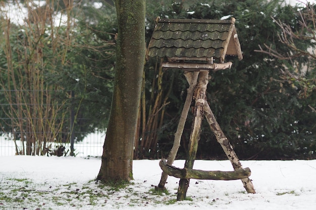 Weitwinkelaufnahme einer Holzkonstruktion neben einem Baum