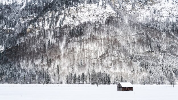 Weitwinkelaufnahme einer kleinen Holzhütte auf einer schneebedeckten Oberfläche in der Nähe von Bergen und schneebedeckten Bäumen