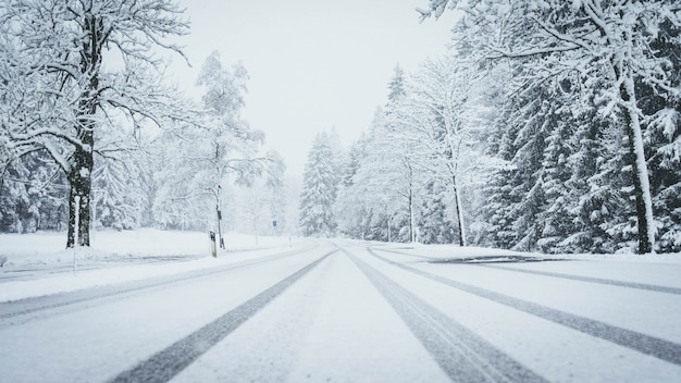 Weitwinkelaufnahme einer Straße, die vollständig mit Schnee bedeckt ist, mit Kiefern auf beiden Seiten und Autospuren