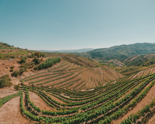 Kostenloses Foto weitwinkelaufnahme eines feldes im douro-tal portugal an einem sonnigen tag