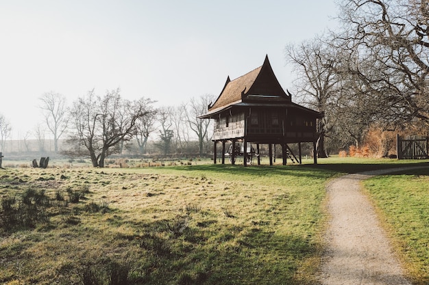 Weitwinkelaufnahme eines Hauses auf einer grünen Landschaft, umgeben von mehreren trockenen Bäumen unter einem bewölkten Himmel