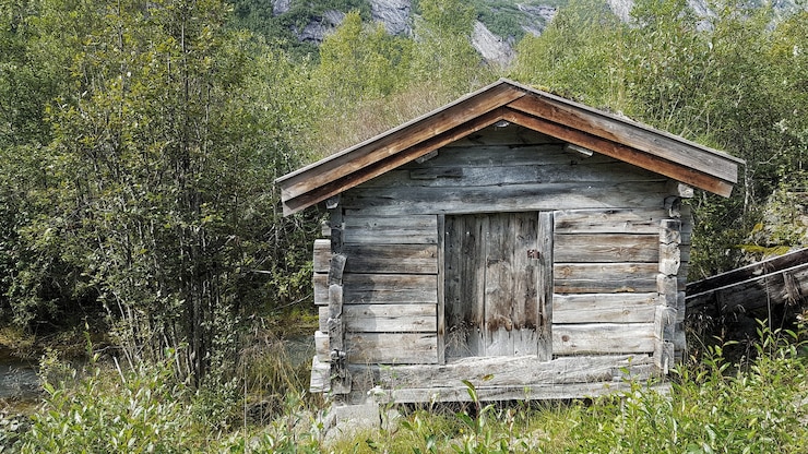 Kostenlose Foto weitwinkelaufnahme eines kleinen holzhauses, umgeben von bäumen