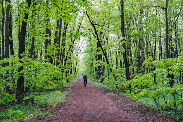Weitwinkelaufnahme eines Mannes, der Fahrrad auf einem Weg mitten in einem Wald voller Bäume fährt