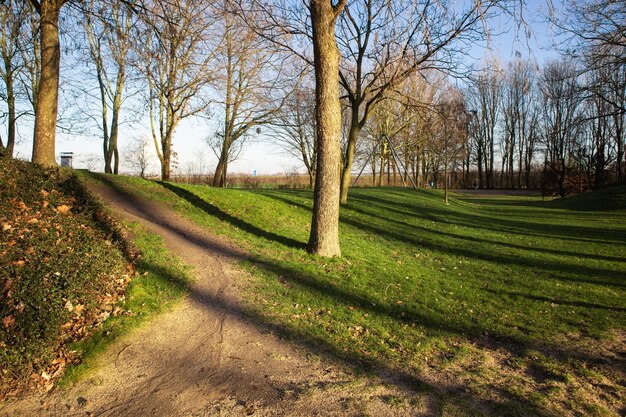 Weitwinkelaufnahme eines Parks, der tagsüber von Bäumen umgeben ist