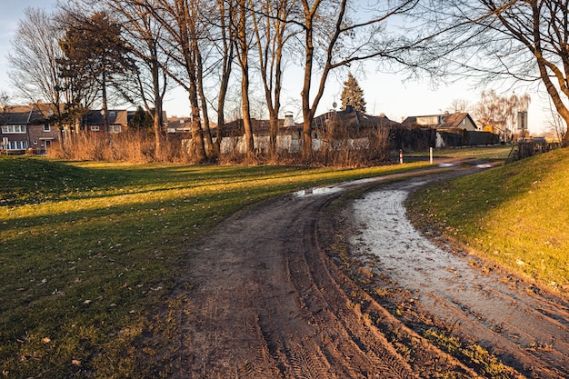 Weitwinkelaufnahme eines Parks, der tagsüber von Bäumen umgeben ist