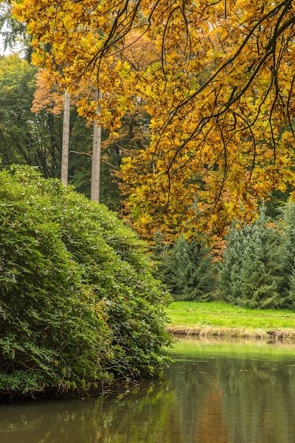 Weitwinkelaufnahme eines Parks mit einem riesigen Strauch und Bäumen in der Umgebung