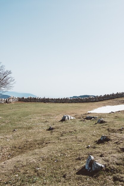 Weitwinkelaufnahme von Felsbauern in einem grünen Feld unter einem klaren Himmel