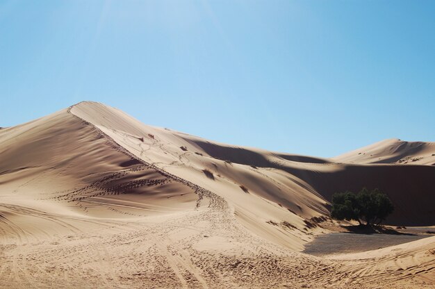 Weitwinkelaufnahme von Sanddünen in der Wüste an einem sonnigen Tag