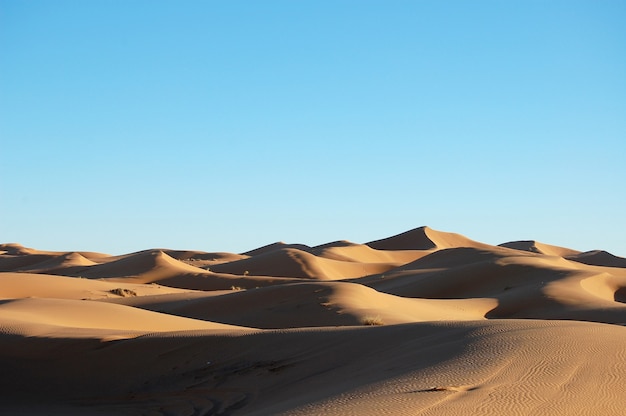 Weitwinkelaufnahme von Sanddünen in einer Wüste bei Tag