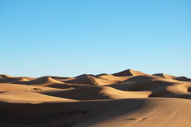 Weitwinkelaufnahme von Sanddünen in einer Wüste bei Tag