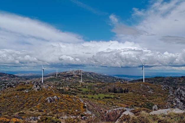 Weitwinkelaufnahme von weißen Windfächern auf einer großen Wiese