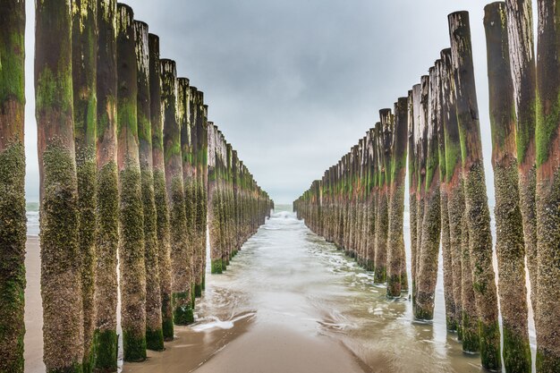 Wellenbrechende Holzanlagen in der Nordsee, Seeland, Niederlande