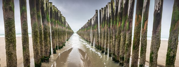 Wellenbrechende Holzanlagen in der Nordsee, Seeland, Niederlande