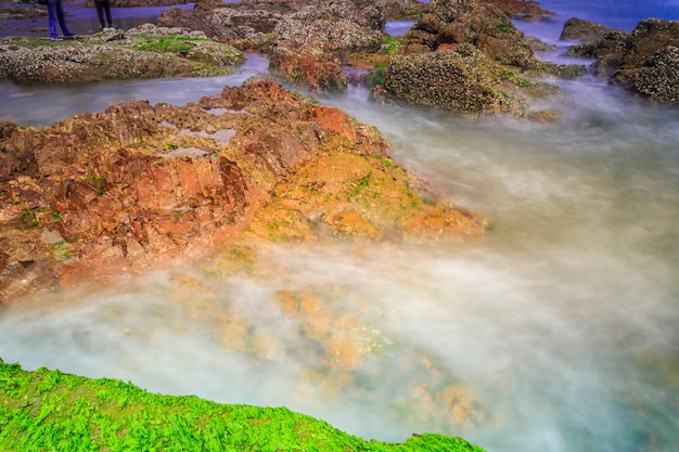 Wellenpanorama Wasser Bäume reisen Ozean