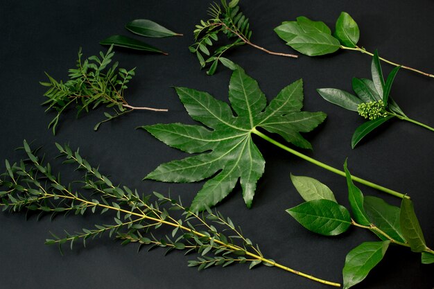 Werkzeuge und Zubehör, die Floristen benötigen, um einen Blumenstrauß zusammenzustellen