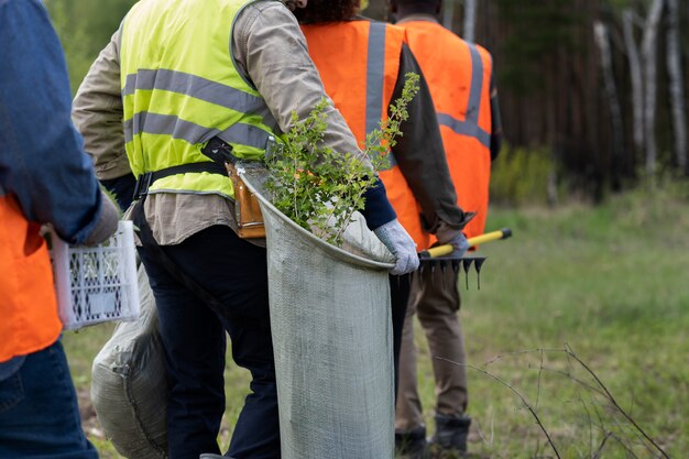 Wiederaufforstung durch freiwillige Gruppe