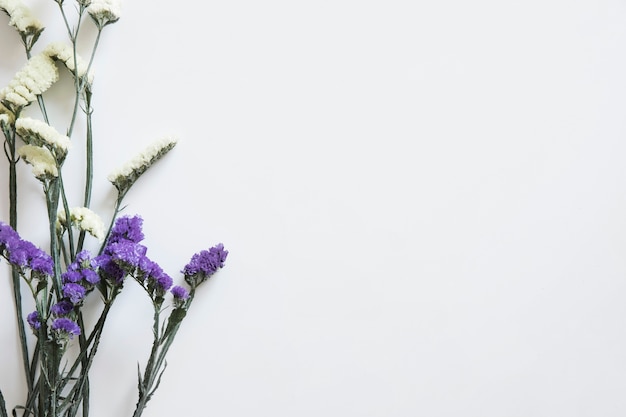 Kostenloses Foto wildblumen auf dem links für frühling