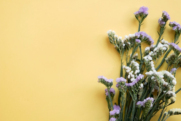 Wildblumen auf gelbem Hintergrund