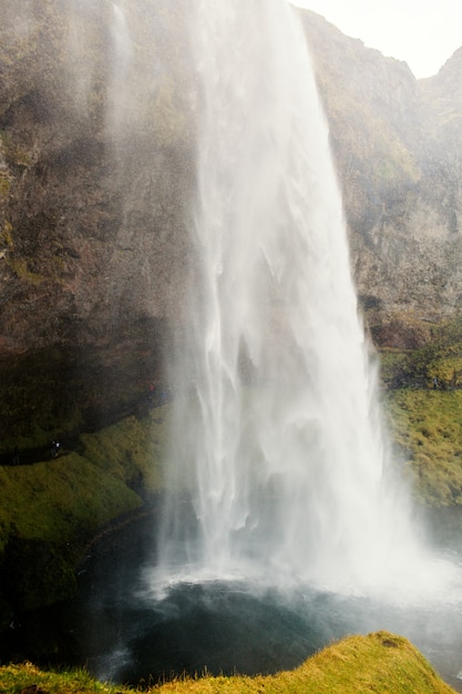 Kostenloses Foto wildnislandschaft