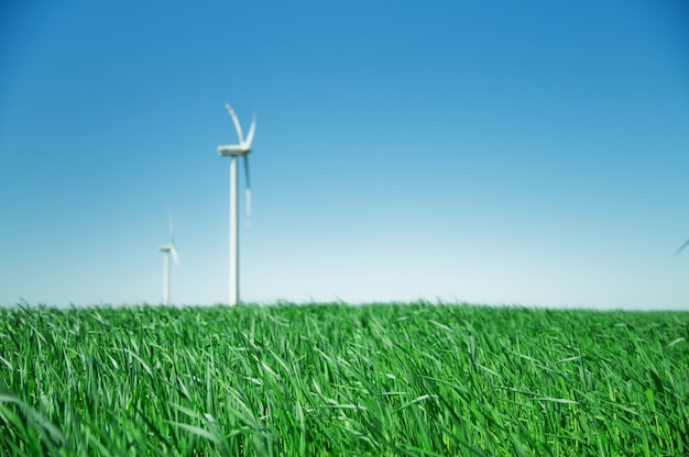 Kostenloses Foto wind-fan in einem feld