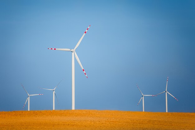 Windkraftanlagen auf einem Feld