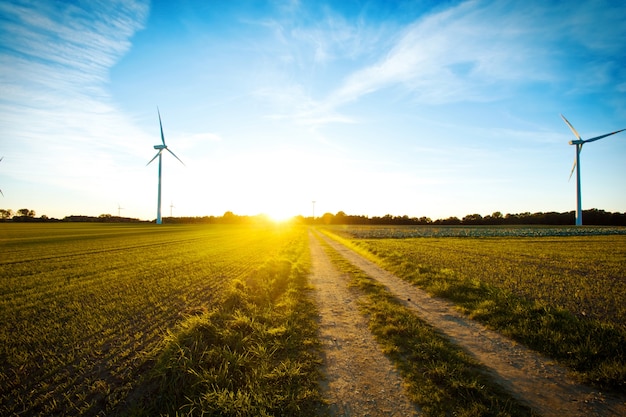 Windmühlen auf dem Feld bei Sonnenuntergang.