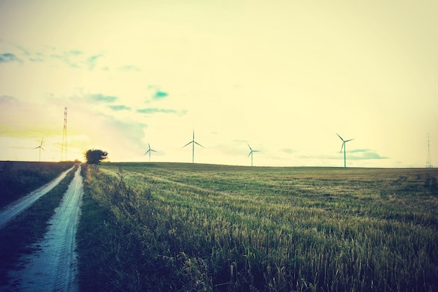 Windmühlen auf dem Feld.