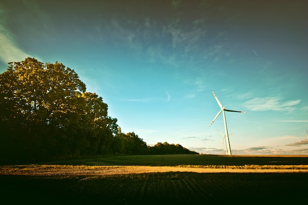 Kostenloses Foto windmühlen auf dem feld.