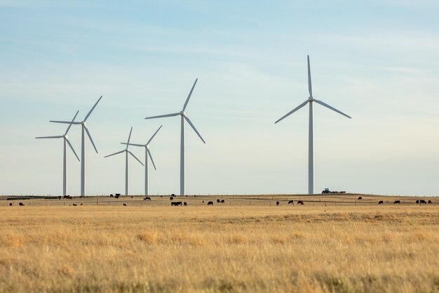 Windpark im Norden Colorados.