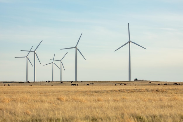 Windpark im Norden Colorados.