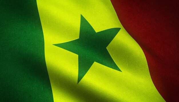 Winkende Flagge von Senegal
