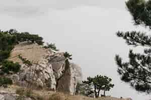 Kostenloses Foto winterlandschaft mit felsen und bäumen