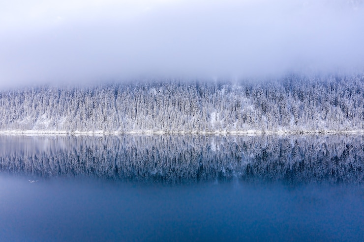 Kostenlose Foto winterlandschaft mit see umgeben von schneebedeckten bäumen am frühen morgen