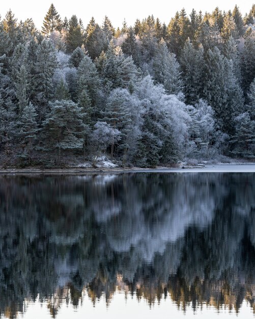 Winterlandschaft, ruhiges Wasser und Reflexionen von Bäumen und Himmel.