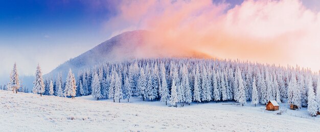 Bilder Winter Gratis Vektoren Fotos Und Psds