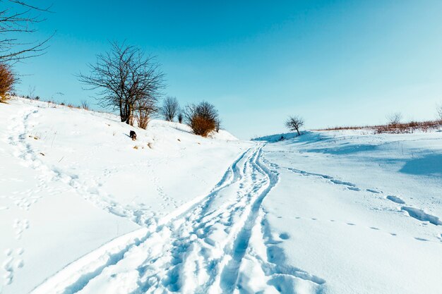 Winterliche Landschaftslandschaft mit modifizierter Langlaufloipe