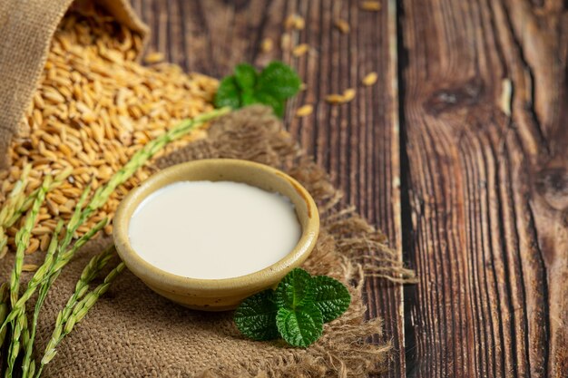 Winzige Schüssel Reismilch mit Reis plnt und Reissamen auf Holzboden gelegt