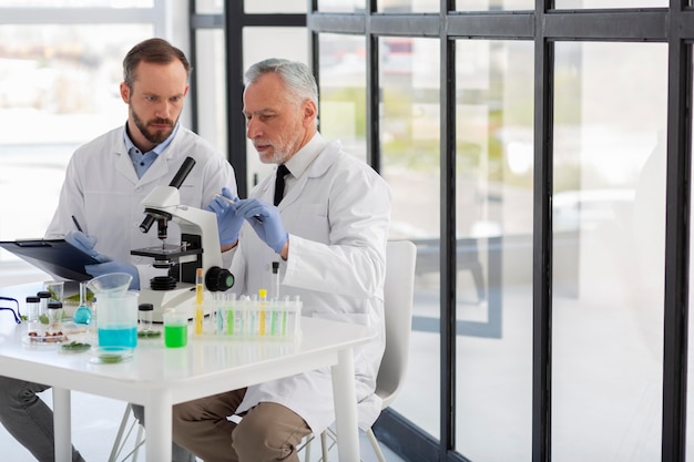 Kostenloses Foto wissenschaftler mit mittlerem schuss arbeiten zusammen