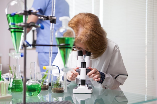 Wissenschaftlerin mittleren alters, die ihr mikroskop anpasst, um wissenschaftliche tests an pflanzen zu starten. forschungslabor für gesundheit.