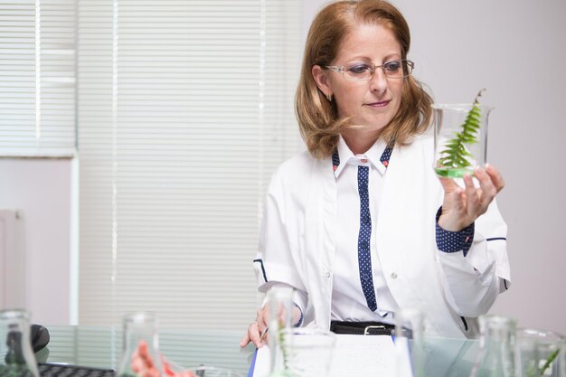 Wissenschaftlerin überprüft die Pflanze, nachdem sie einen Biologietest durchgeführt hat. Chemielabor. Wissenschaftlicher Test.