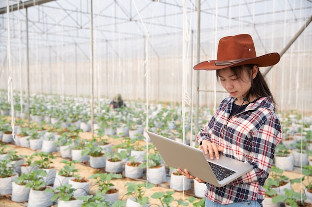 Wissenschaftliche Mitarbeiterin, Landwirtschaftsreferentin. im Gewächshaus Farm Research Melone