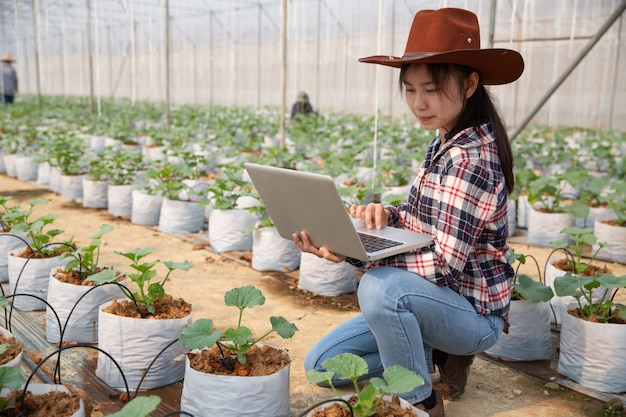 Wissenschaftliche Mitarbeiterin, Landwirtschaftsreferentin. im Gewächshaus Farm Research Melone