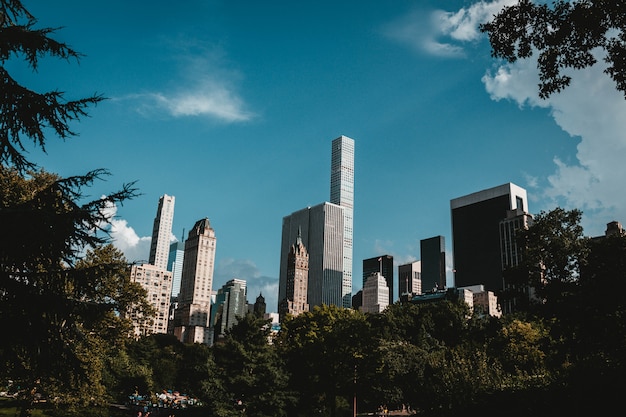 Wolkenkratzer von New York schossen aus dem Park