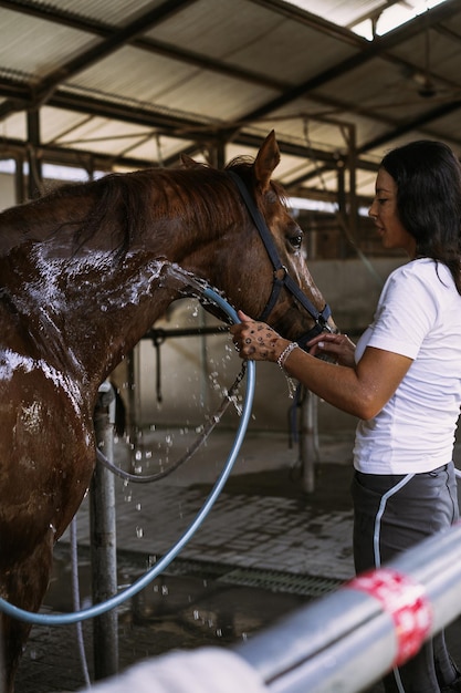 Woman Groomer kümmert sich um und kämmt Haare Pferdemantel nach dem Unterricht Hippodrom. Frau kümmert sich um ein Pferd, wäscht das Pferd nach dem Training.