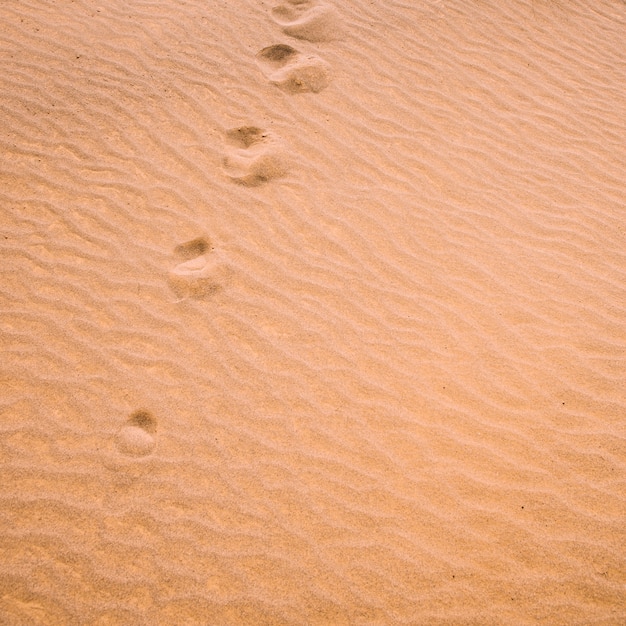 Wüstenlandschaft