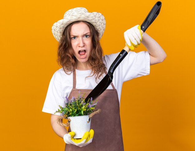 Wütende junge Gärtnerin mit Gartenhut mit Handschuhen, die Blume im Blumentopf mit Spaten auf oranger Wand isoliert hält