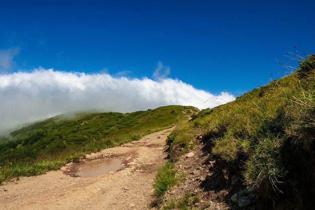 Wunderbare Landschaft der ukrainischen Karpaten.