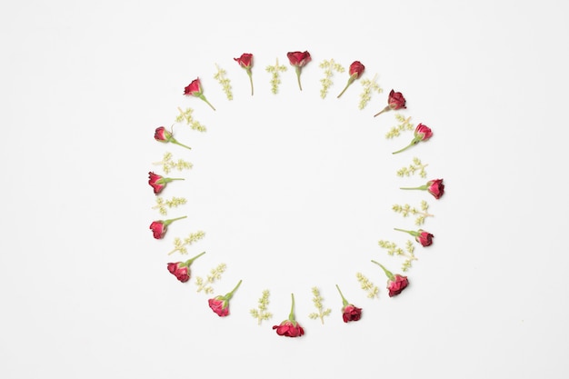Wunderbare rote Blumen und grüne Blätter in Form eines Kreises
